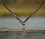 Zobacz zdjęcie miesiąca w Galerii SwiatObrazu.pl – wrzesień 2011