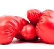 SEO vs. Google