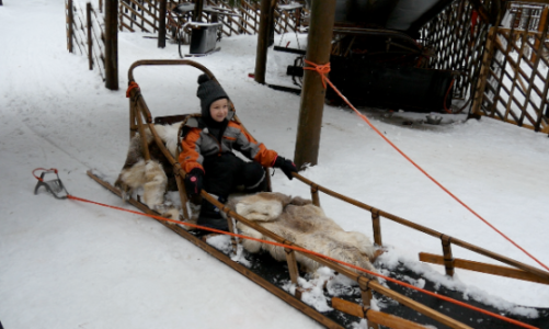 Czy polska książka może dorównać Harry’emu Potter’owi?